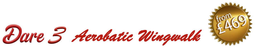Your First WingWalk